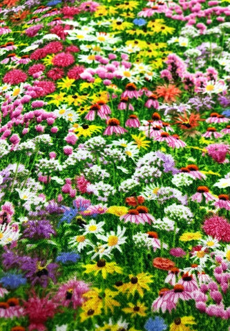 Small flowers in the field Sold in 25cm units