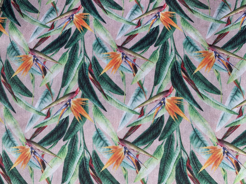 Strelitzia on sand background - sold in 25cm units 150cm wide!