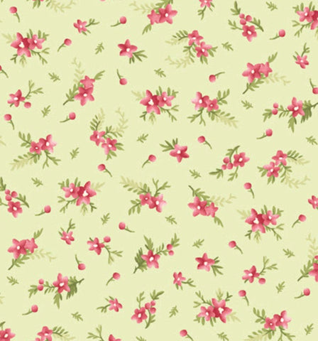 Roses - Blossoms on light green - Heather collection